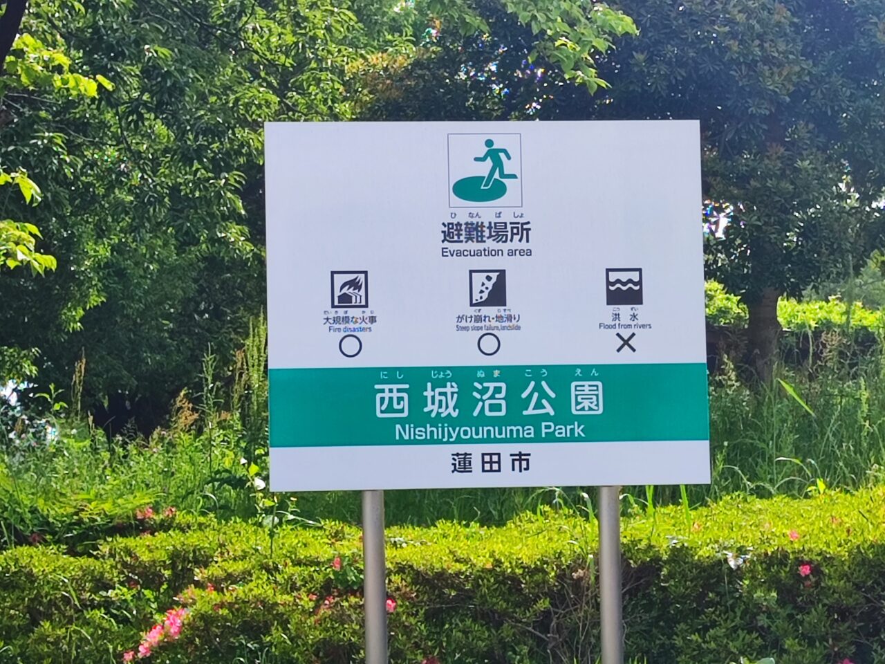 西城沼公園