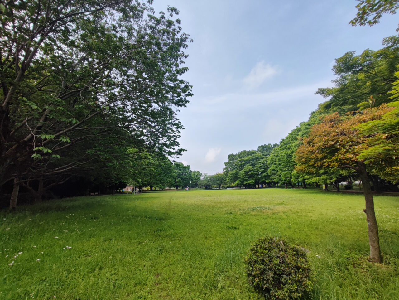 西城沼公園