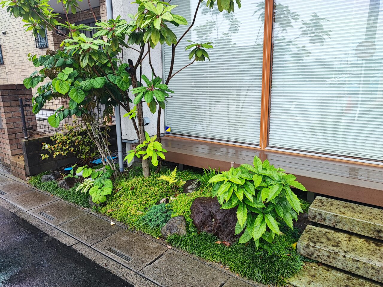 ココマルシェ