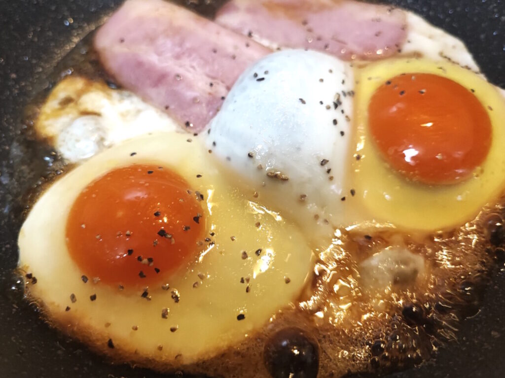 平飼いたまご・岩﨑農場