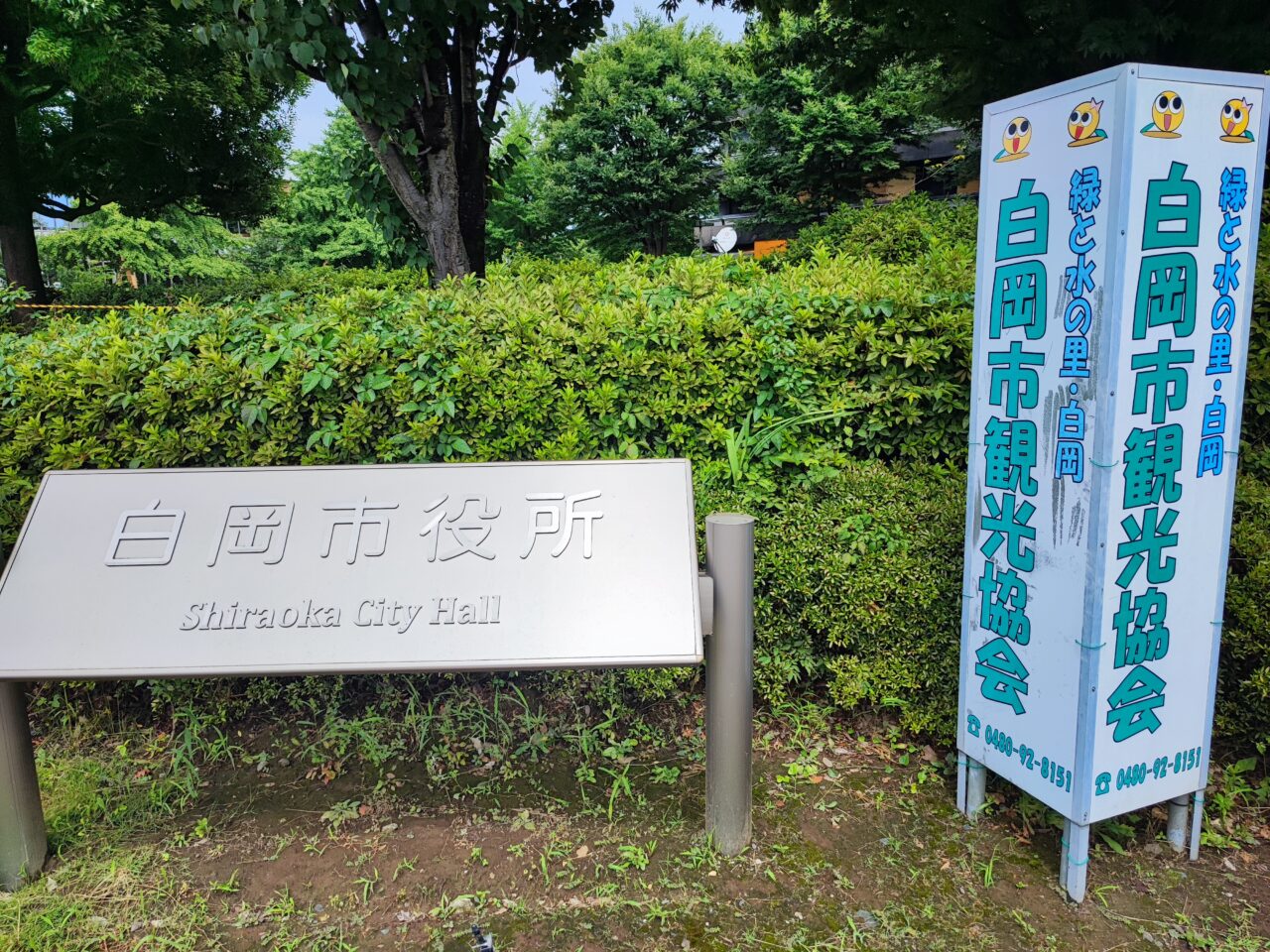 高齢者の元気な暮らしを支える取り組み