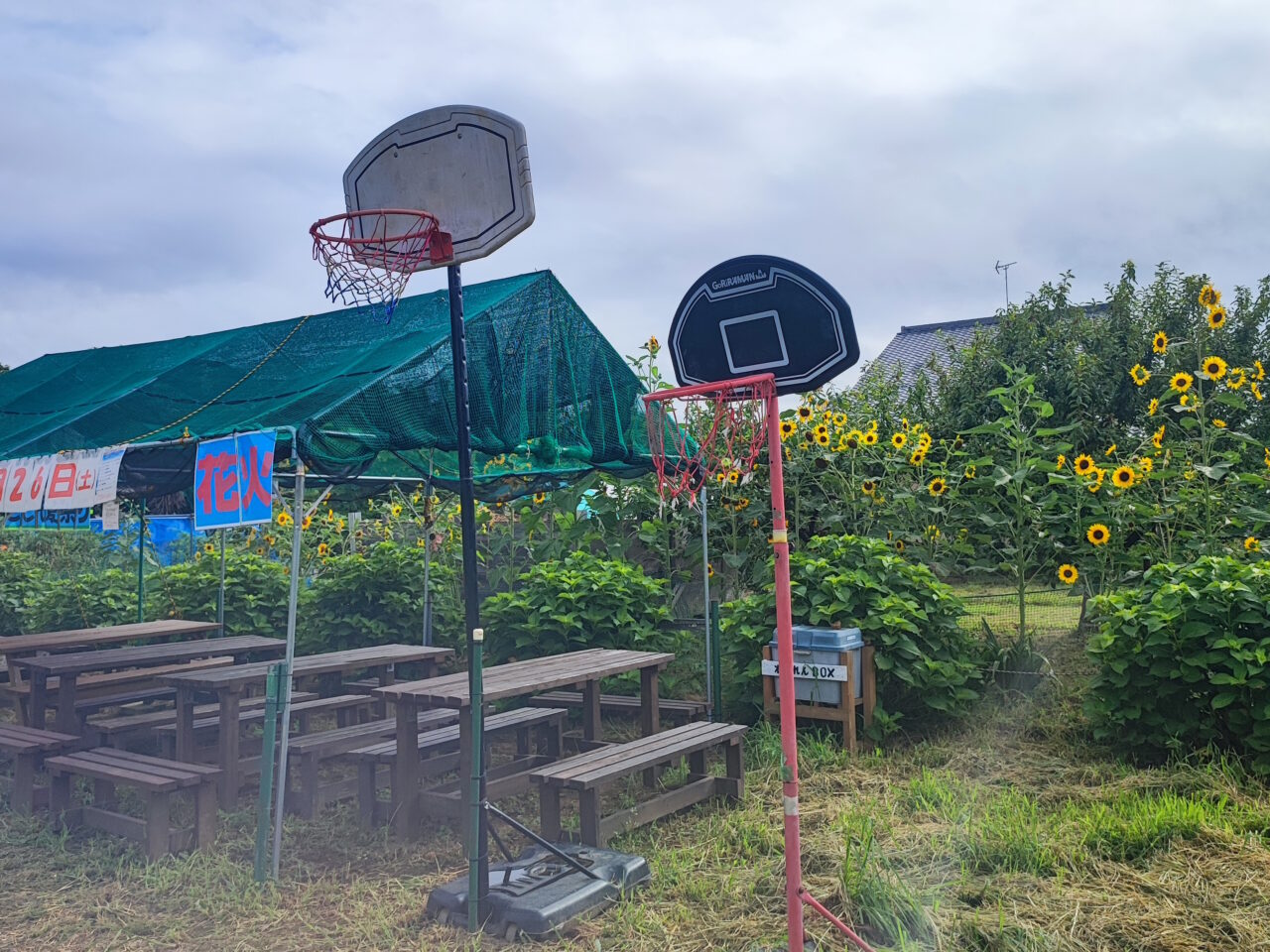こども夏まつり