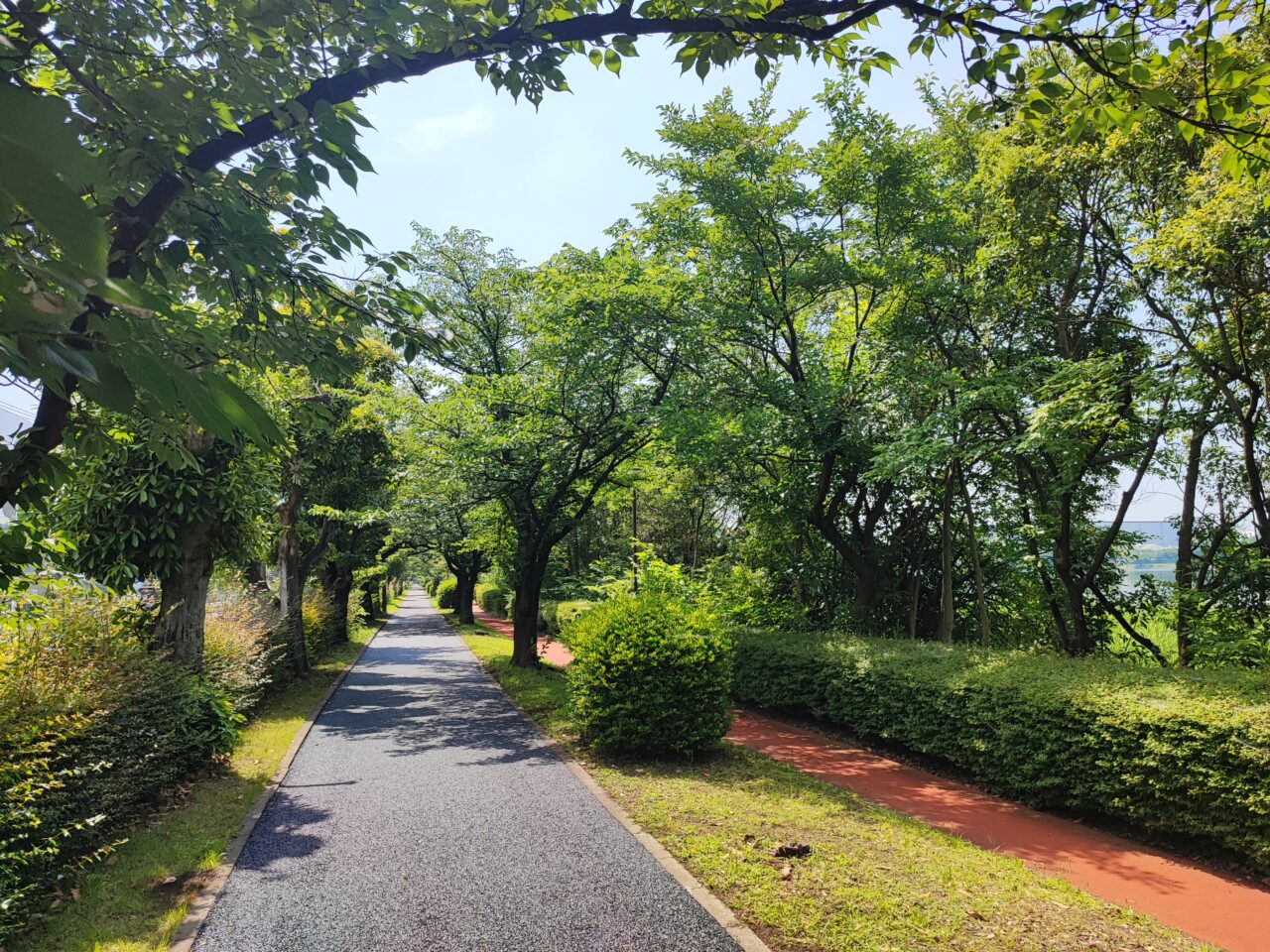 久喜菖蒲公園