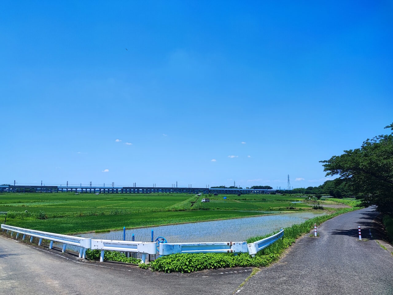 土用丑の日