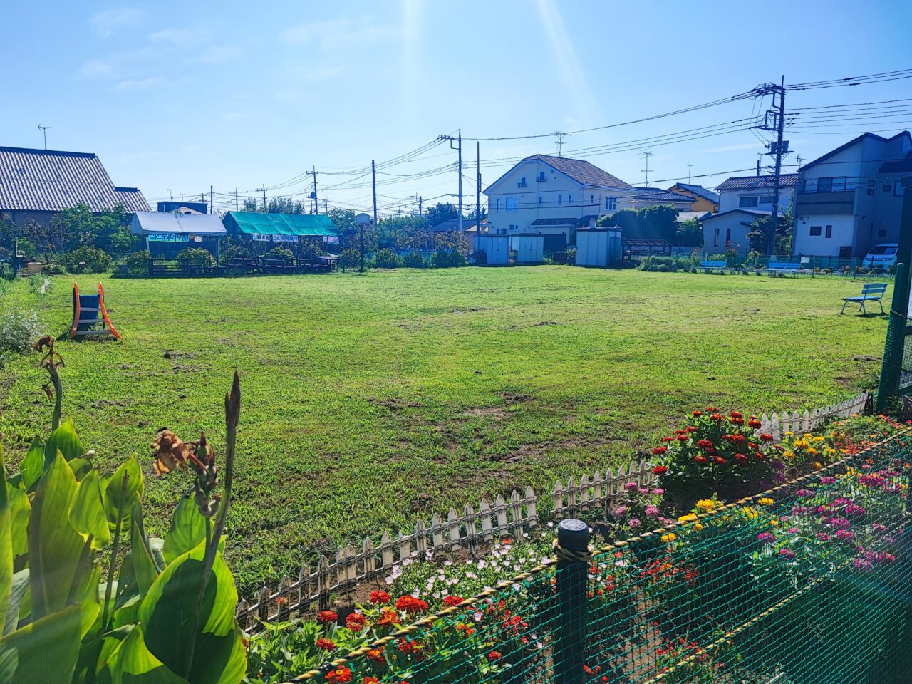 こども夏祭り