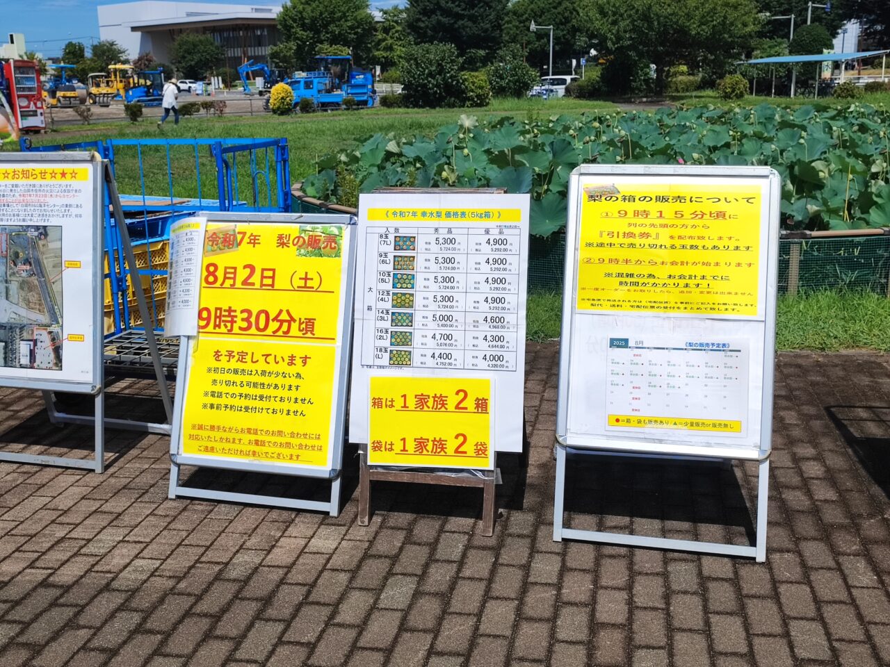 梨の季節