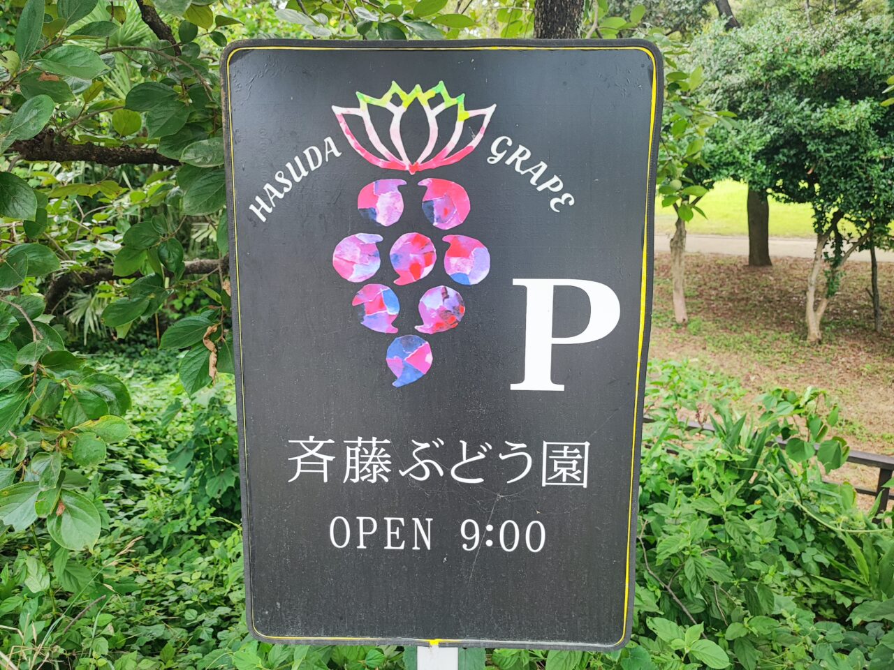 齊藤ぶどう園