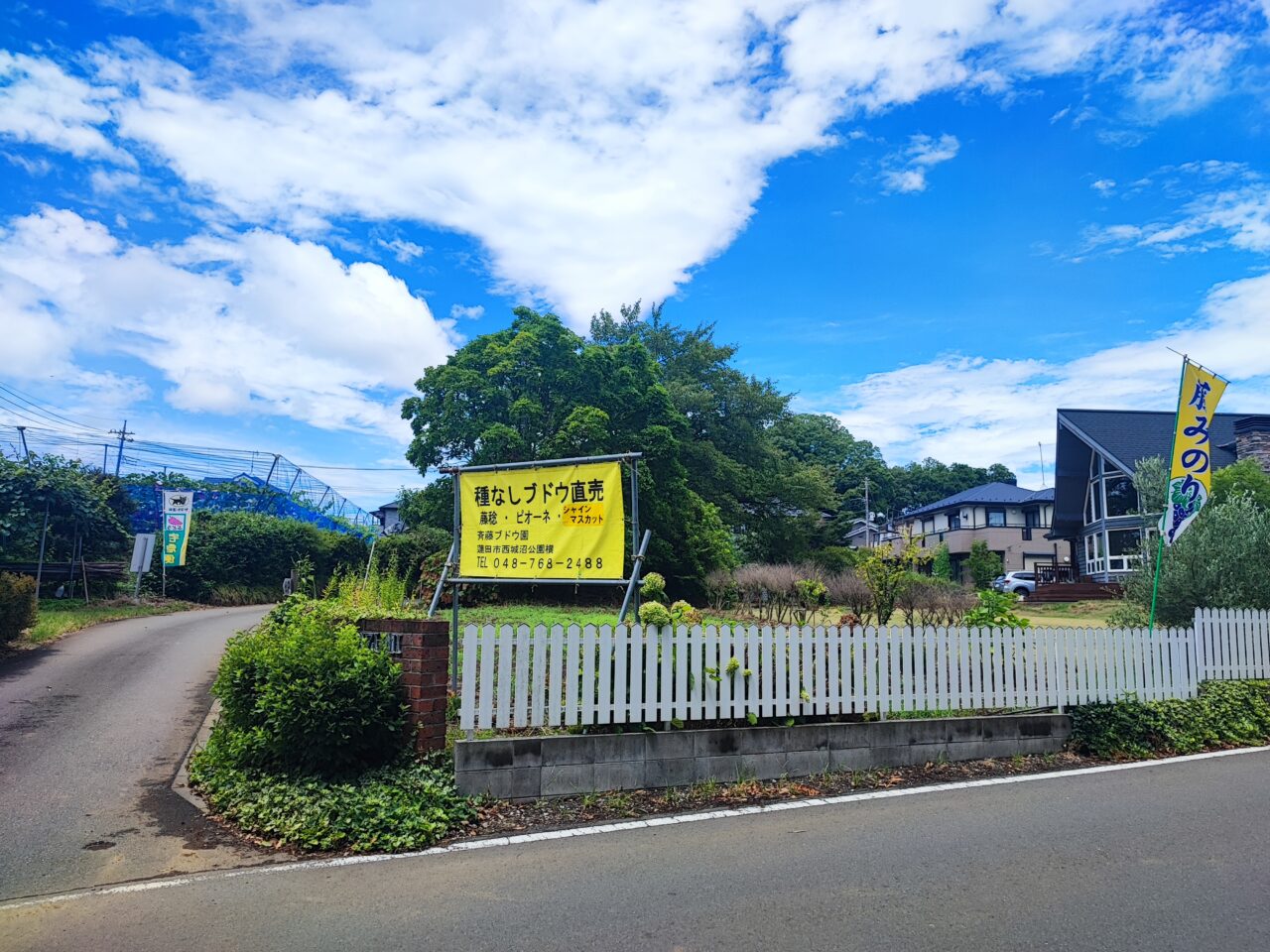 齊藤ぶどう園