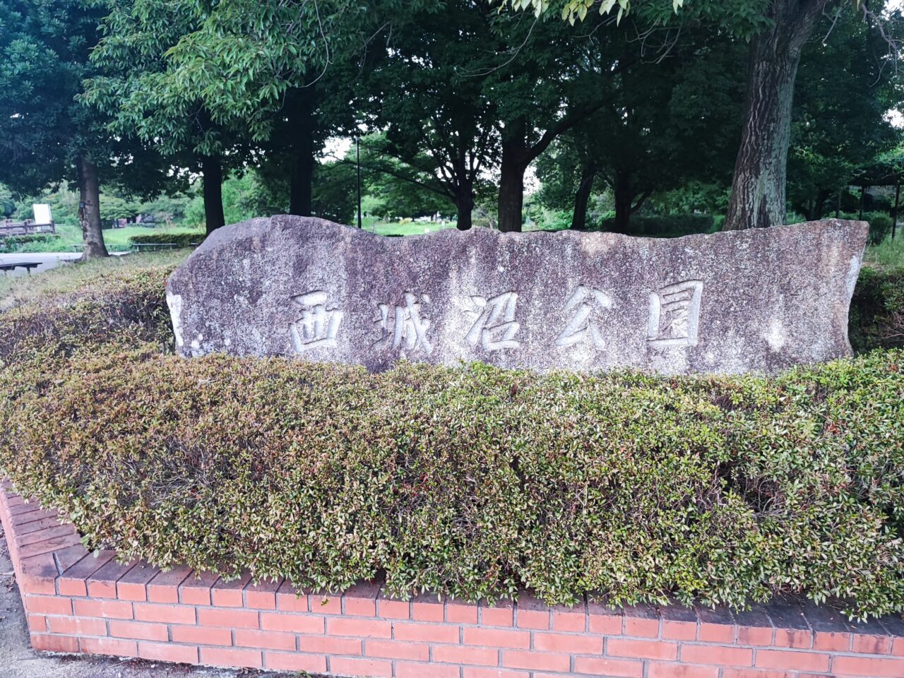 西城沼公園のミニバス