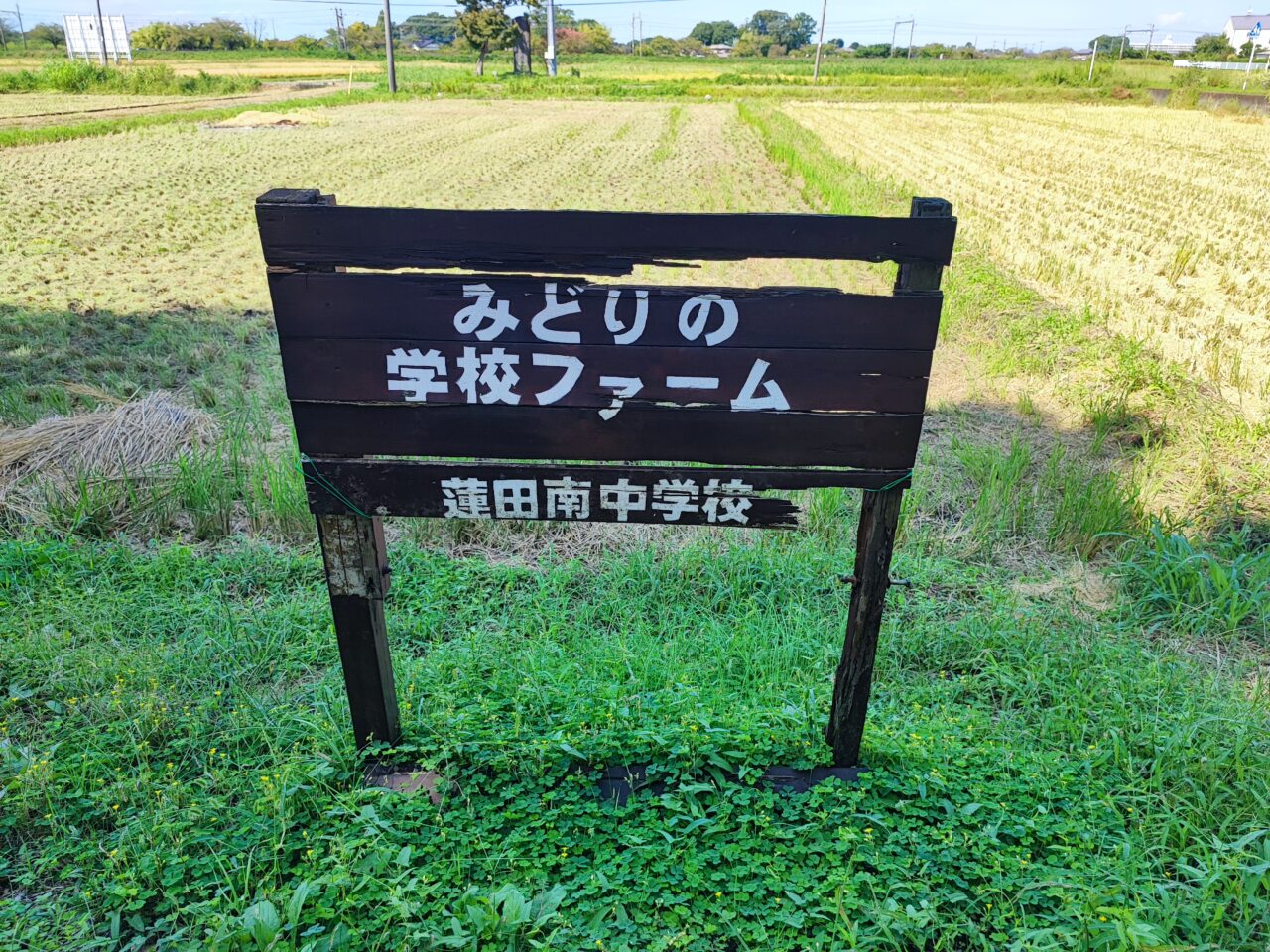 蓮田南中学校校舎長寿命化改修