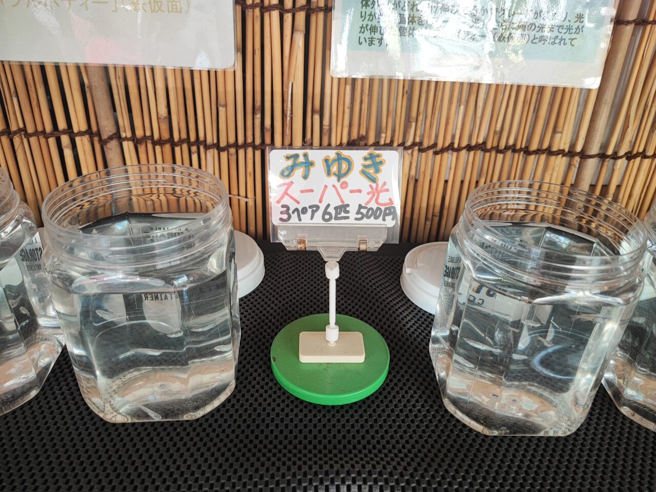 みゆき めだか（幹之メダカ）の無人販売