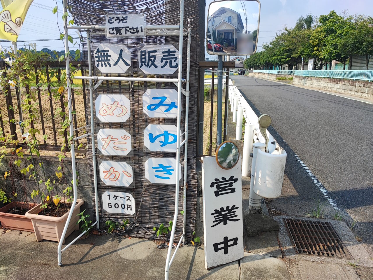 みゆき めだか（幹之メダカ）の無人販売