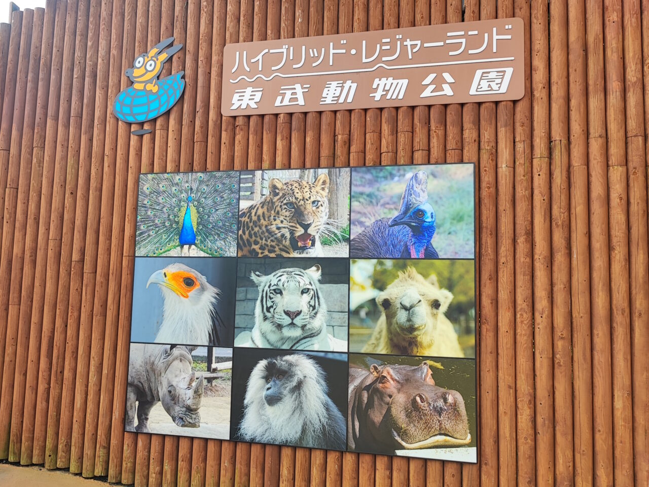 CAINZ×東武動物公園