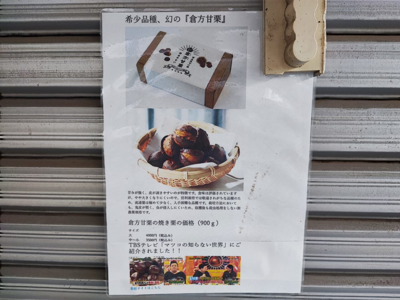 上野田の栗畑