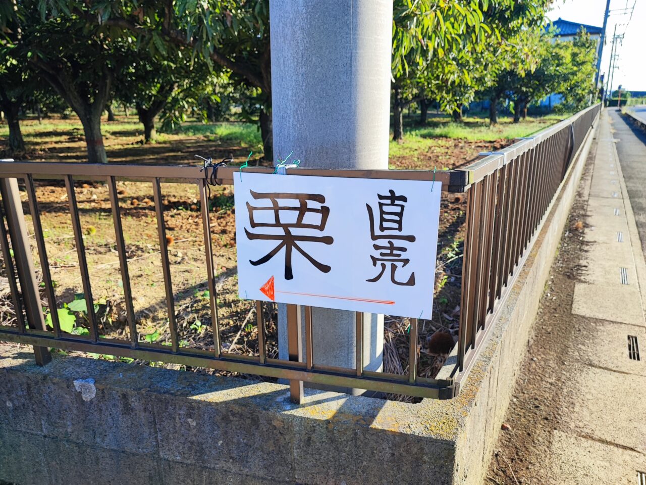 上野田の栗畑