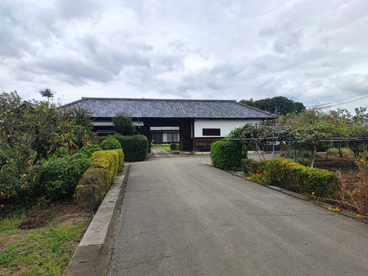 上野田の栗畑