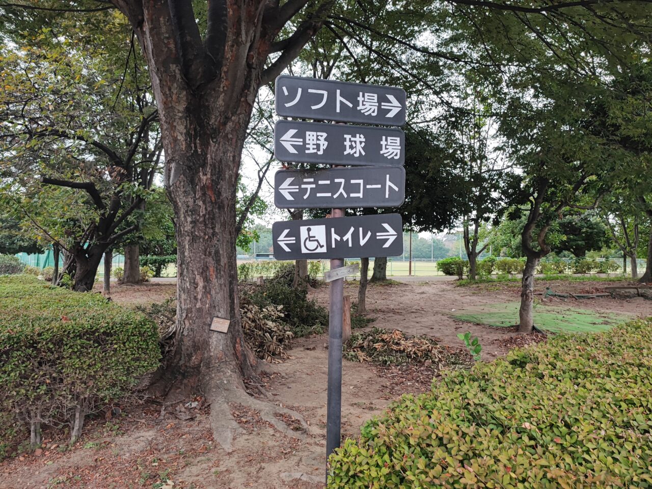 令和7年度 町民スポーツフェスティバル
