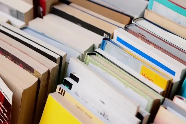 第3回しらおか秋の彩りフェスタ