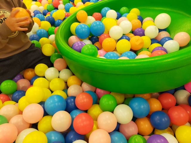 第3回しらおか秋の彩りフェスタ