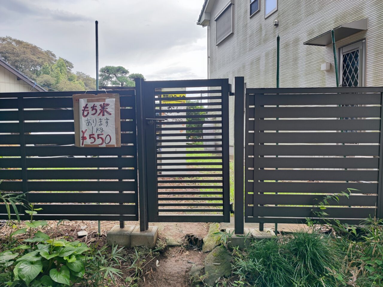 緑のヘルシーロードコース