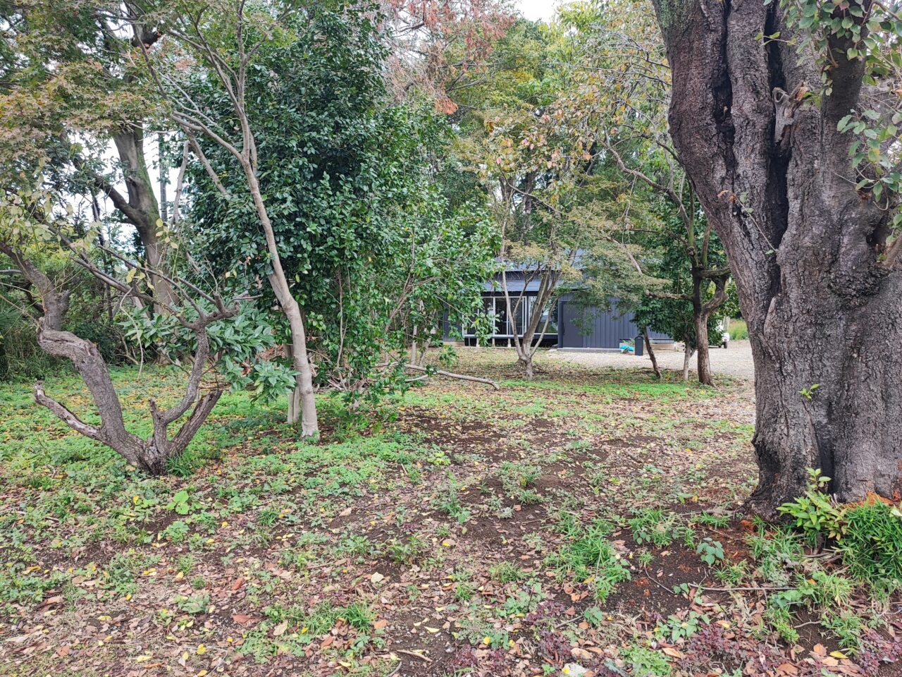 酵素風呂サロンオープン