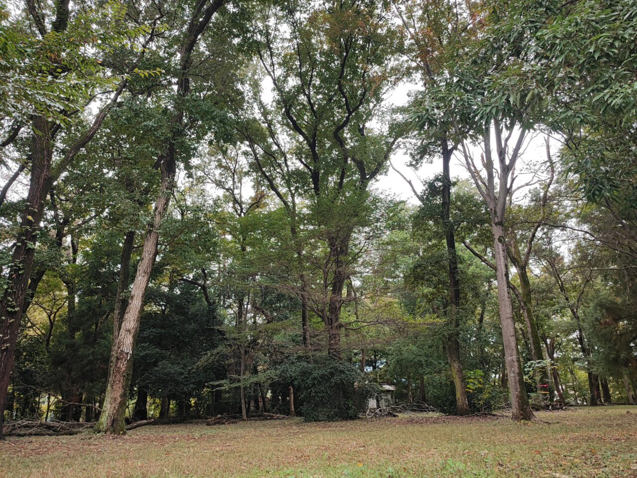 酵素風呂サロンオープン