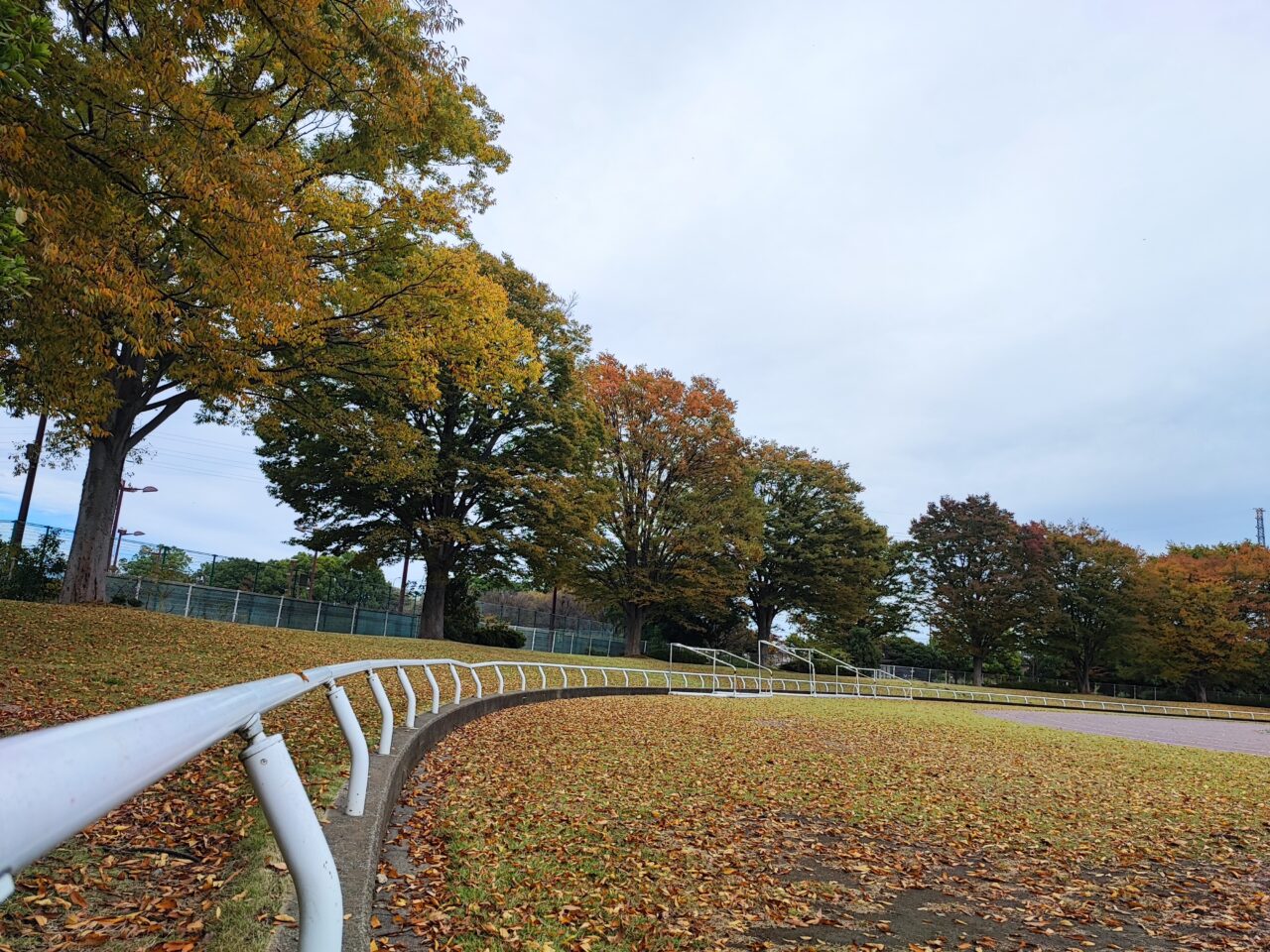 第3回しらおか秋の彩りフェスタ