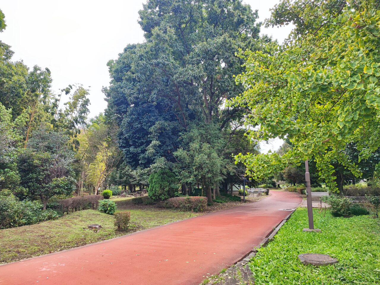 第3回しらおか秋の彩りフェスタ