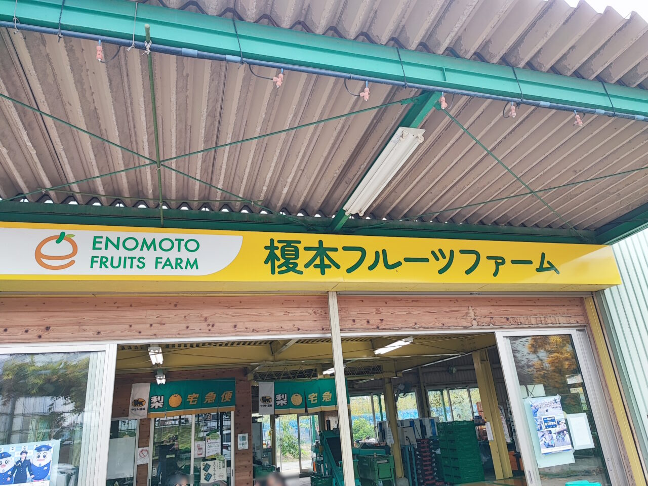 榎本フルーツファームのキウイの販売