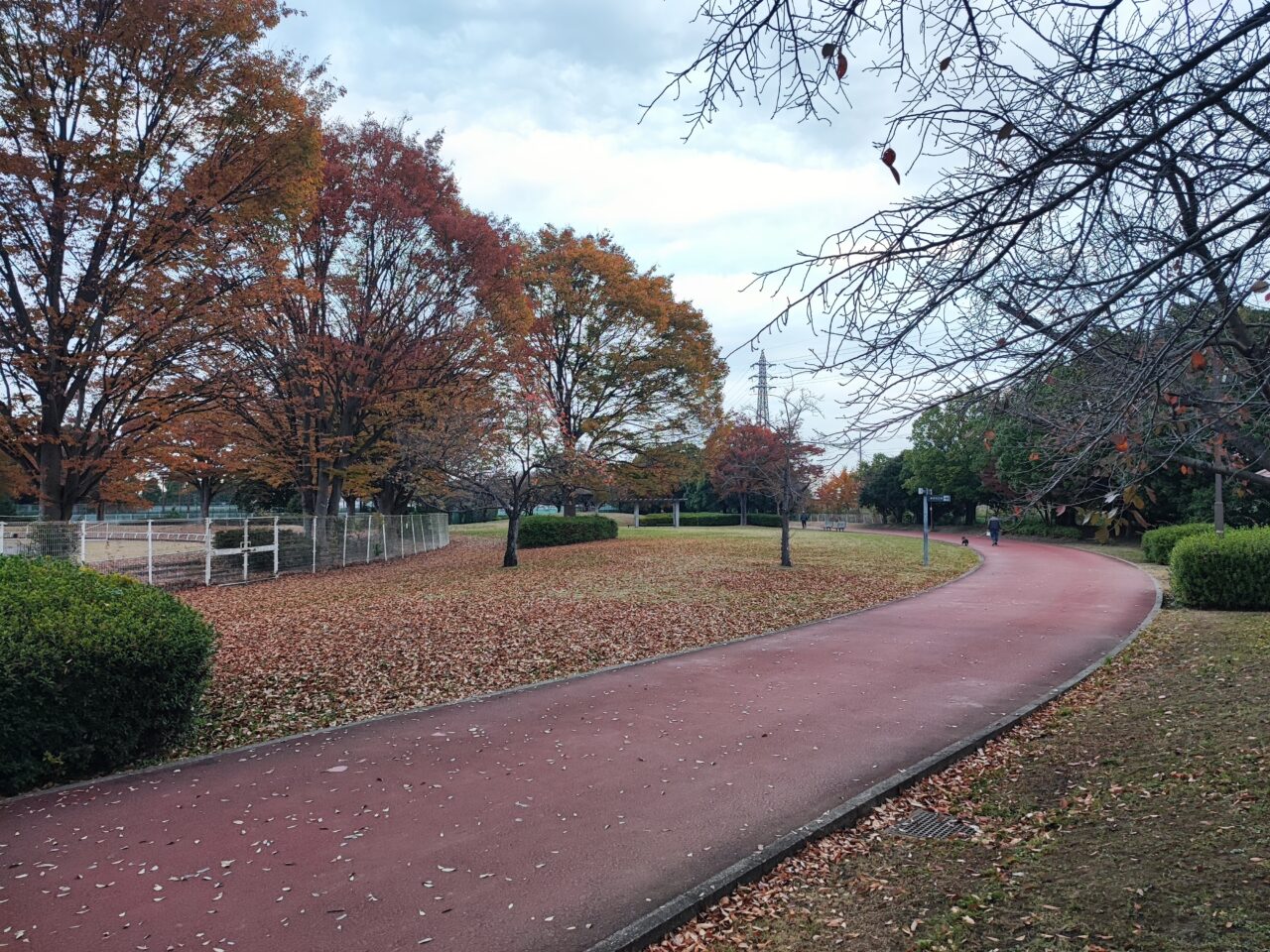 白岡市役所 仮設本庁舎のオープン