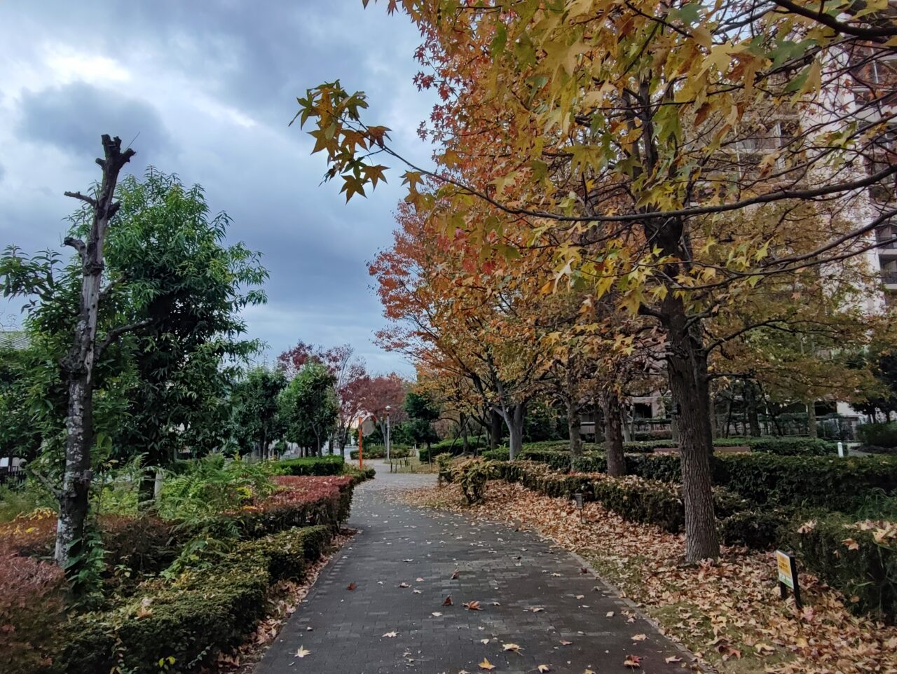 新店Ruse＋（ルセ プラス）オープン