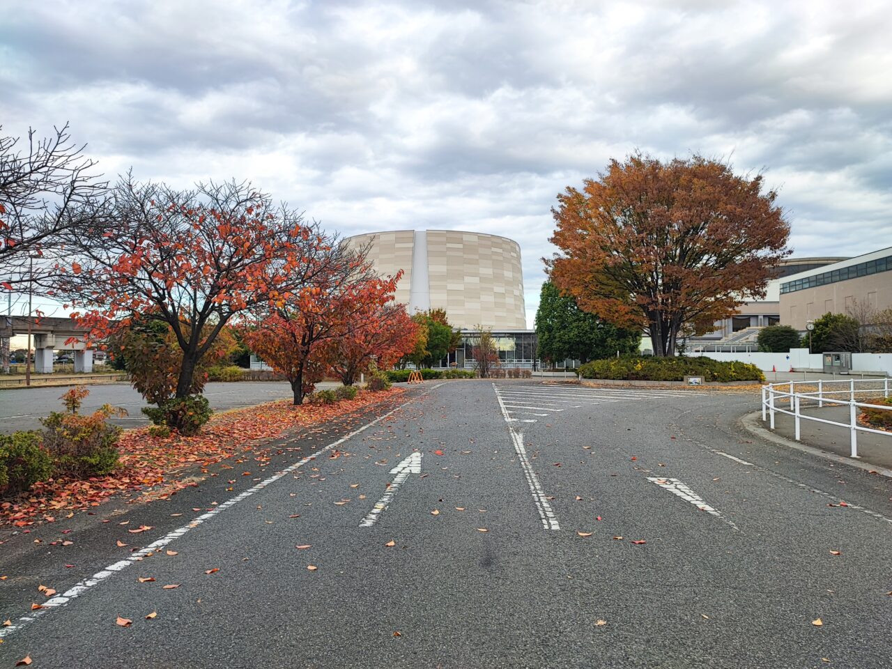 11月18日泡系ラーメン「アワトロ龍宮」