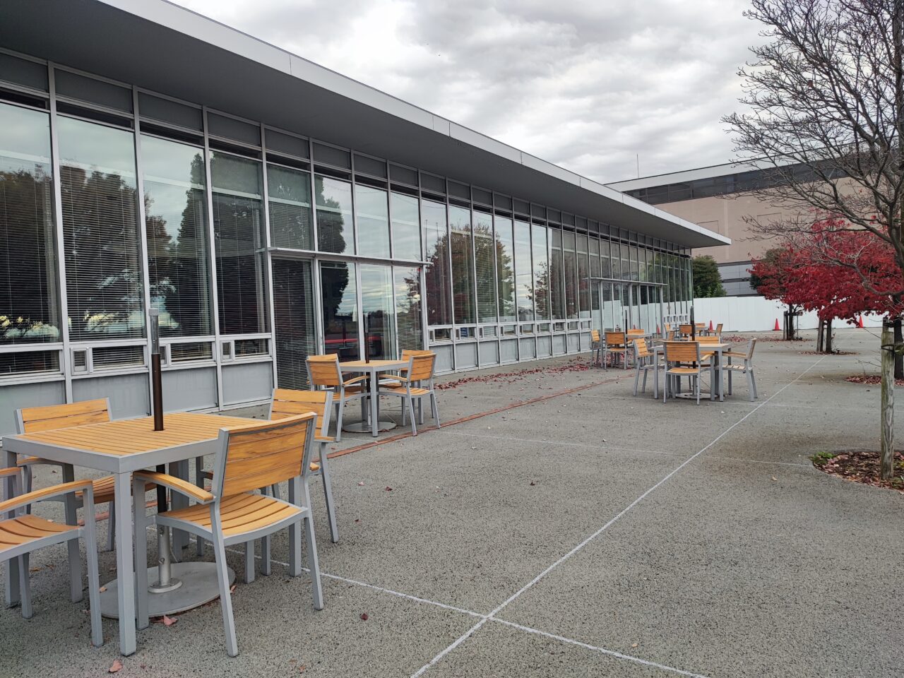 11月18日泡系ラーメン「アワトロ龍宮」