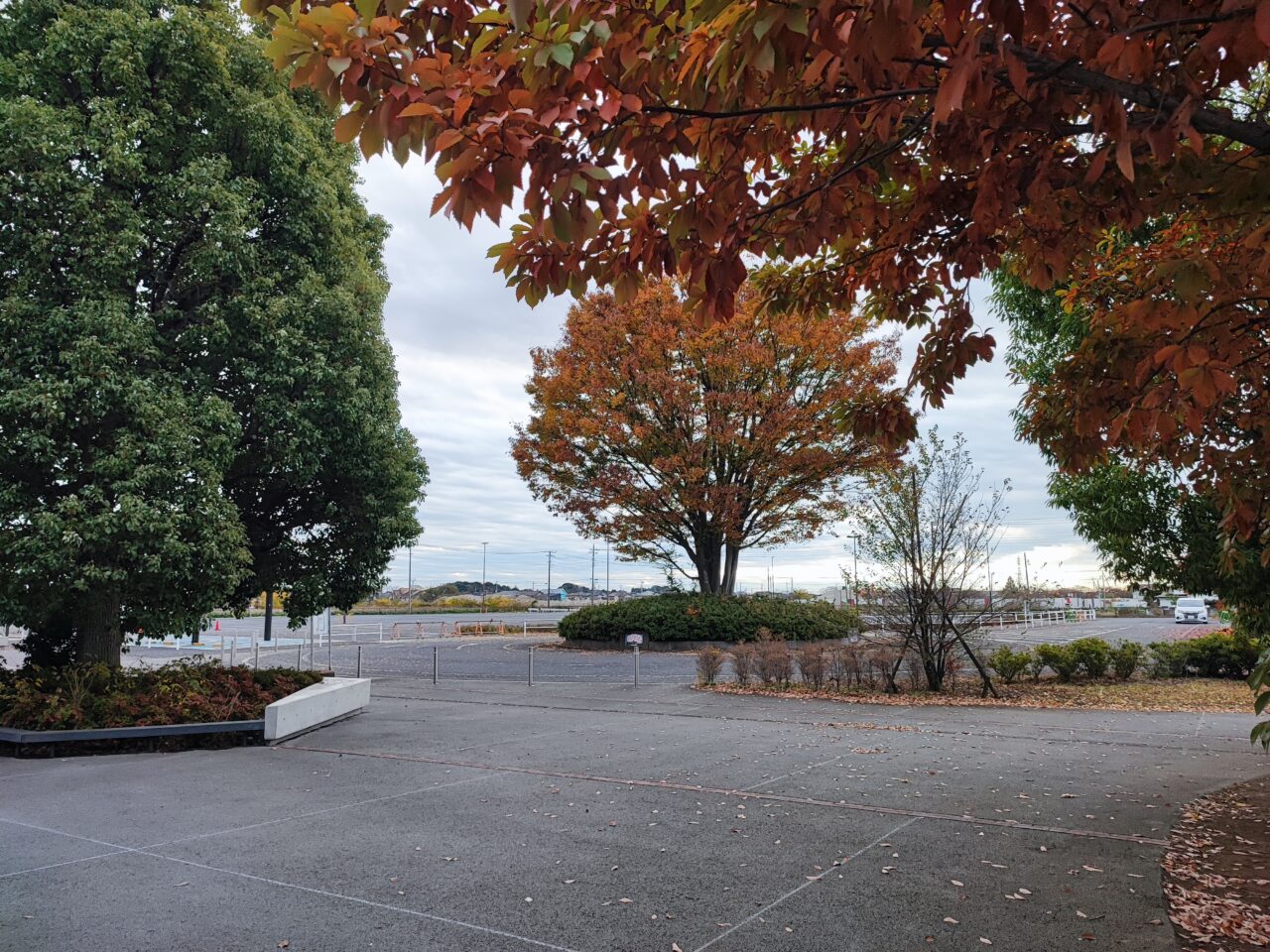 11月18日泡系ラーメン「アワトロ龍宮」