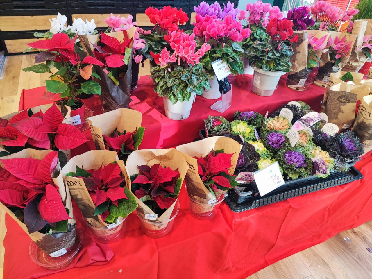 マルエツ 蓮田椿山店シニアデー