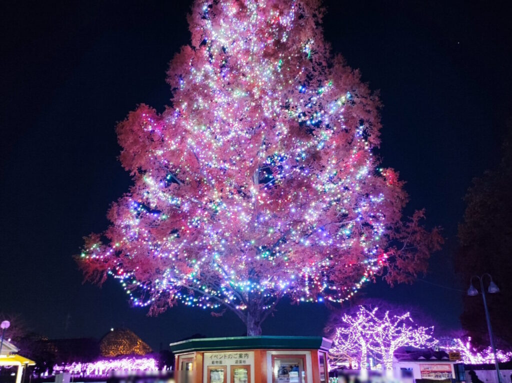 東武動物公園 「ウインターイルミネーション2025-2026」