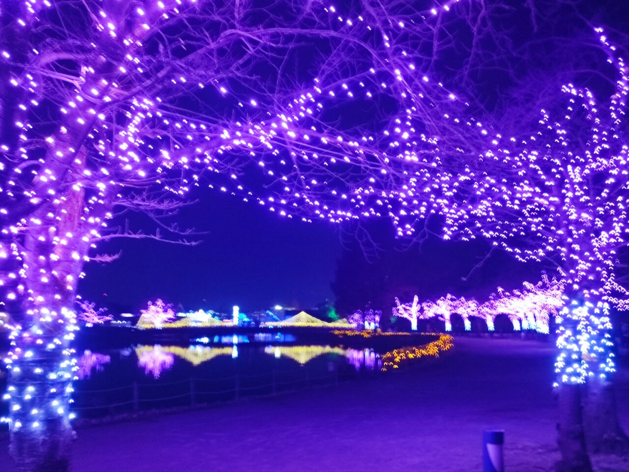 東武動物公園 「ウインターイルミネーション2025-2026」