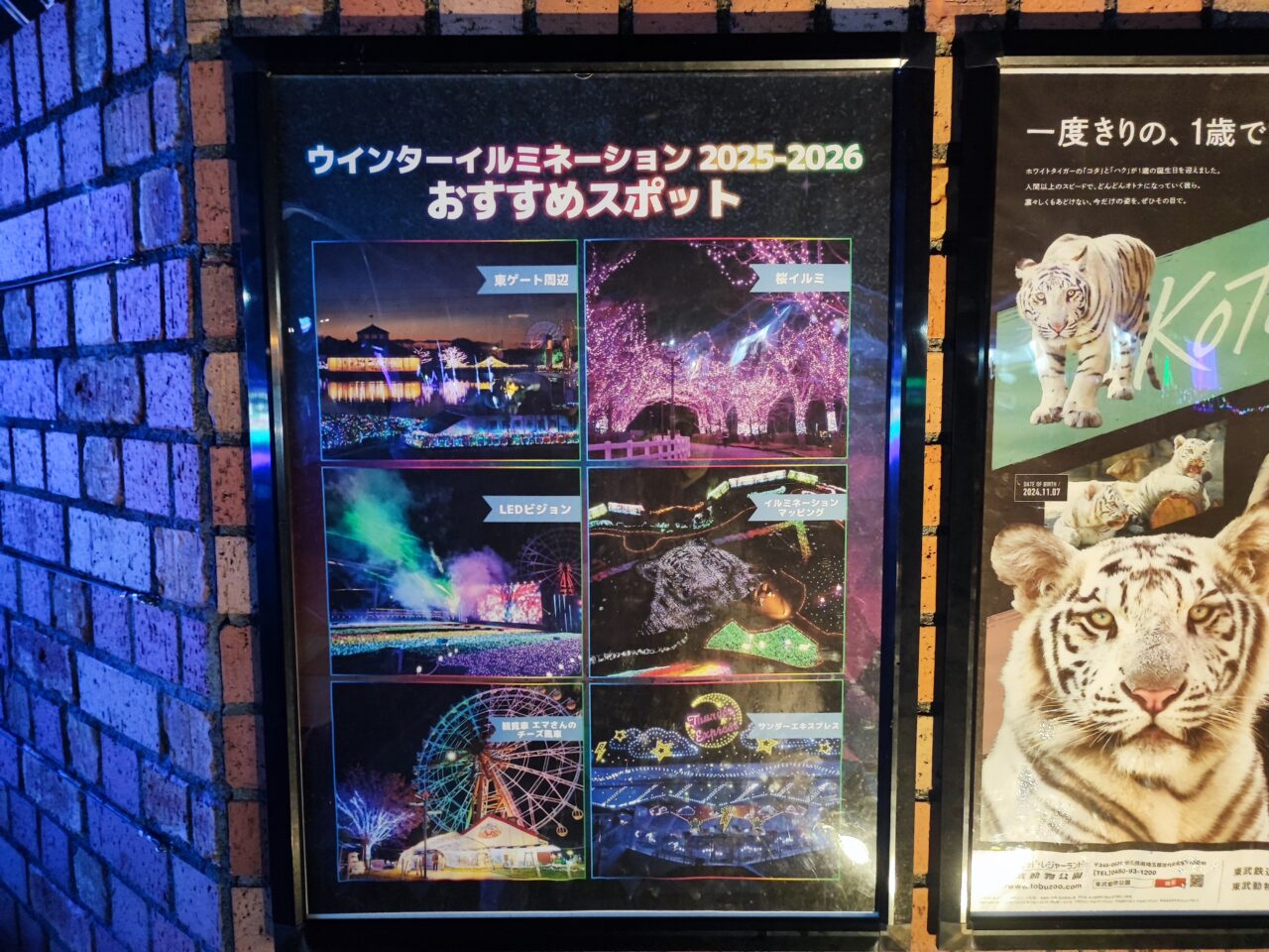 東武動物公園 「ウインターイルミネーション2025-2026」