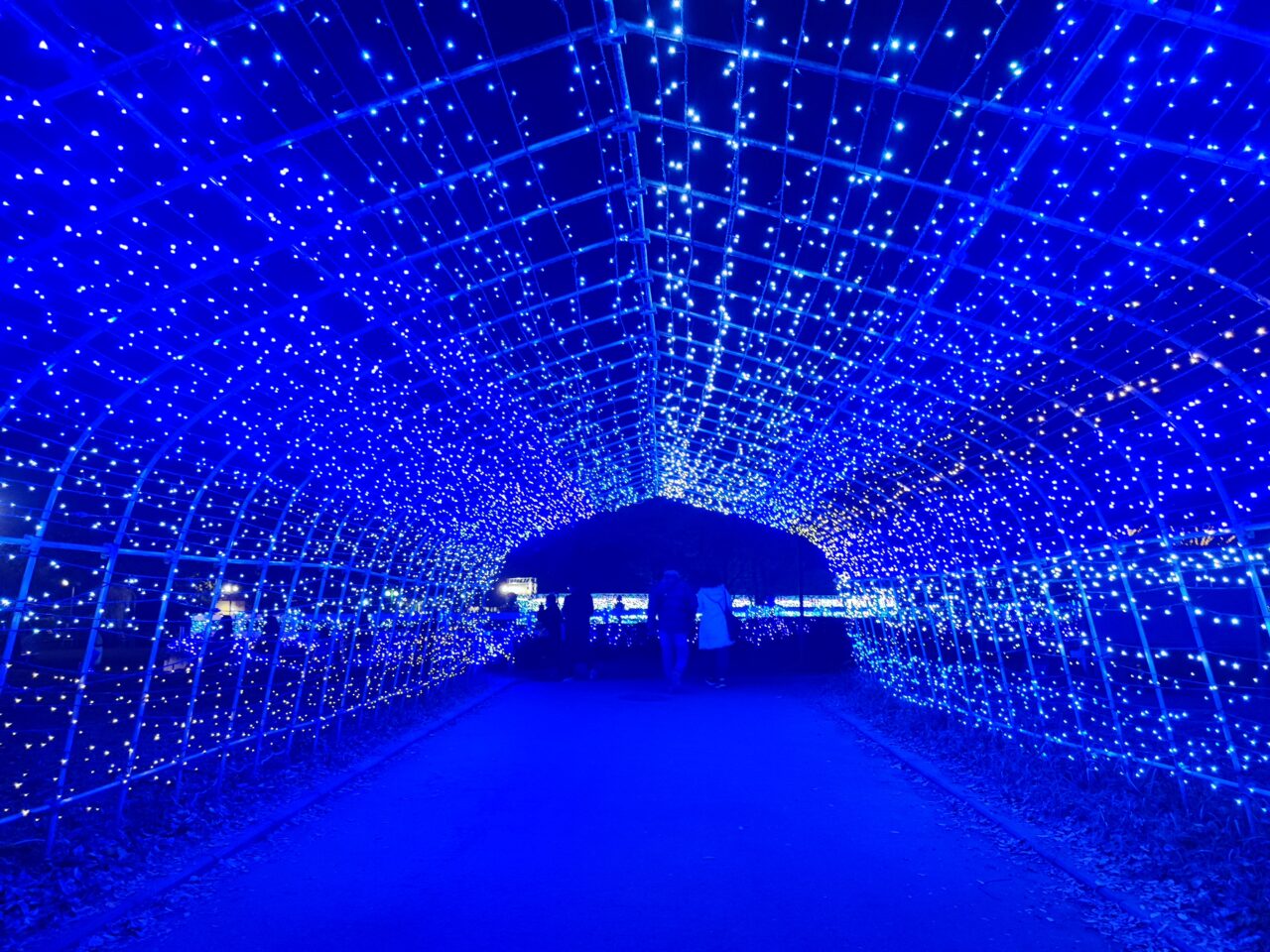 東武動物公園 「ウインターイルミネーション2025-2026」