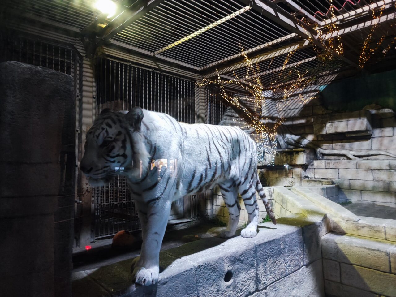 東武動物公園 「ウインターイルミネーション2025-2026」