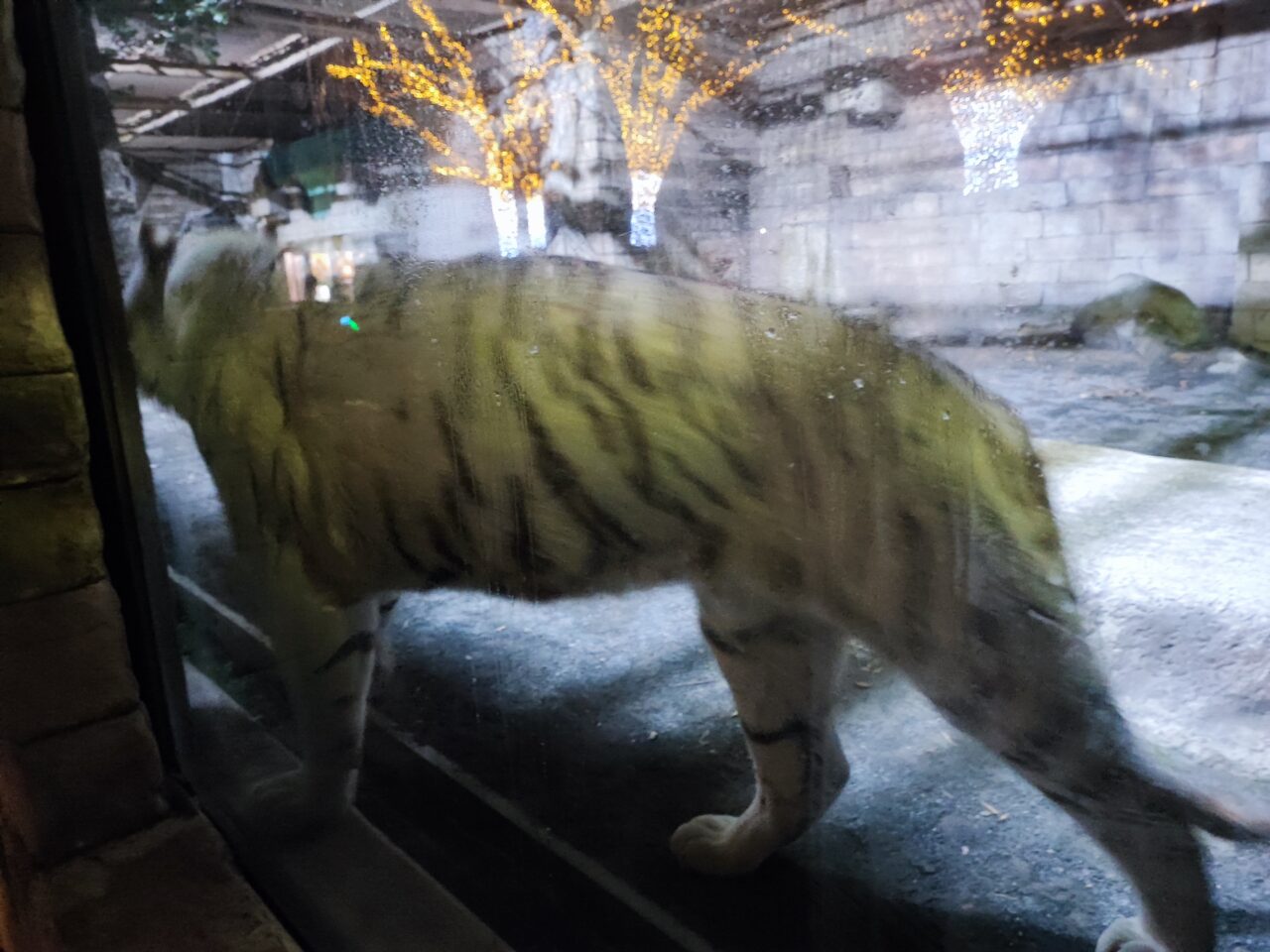 東武動物公園 「ウインターイルミネーション2025-2026」