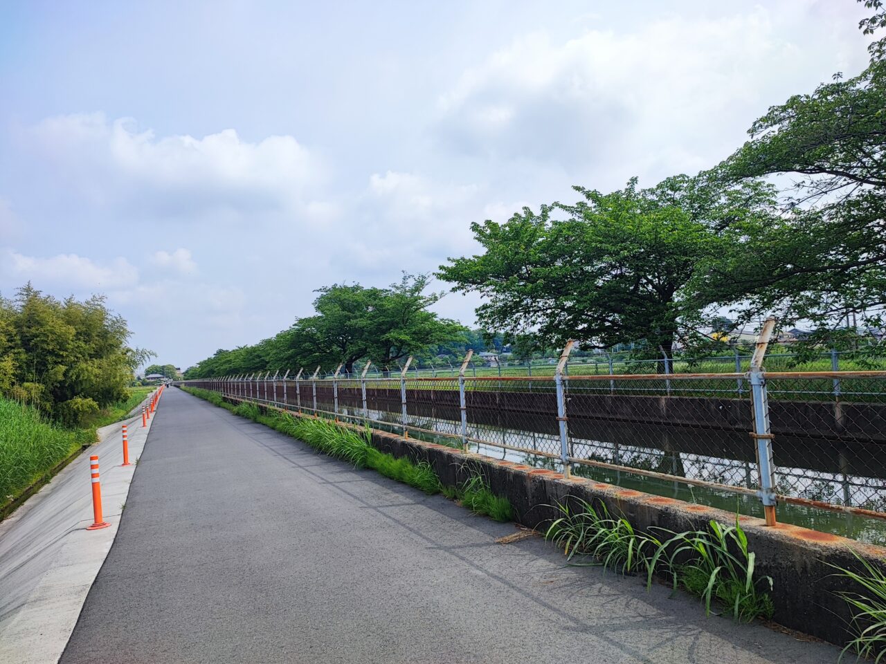 緑のヘルシーロードコース