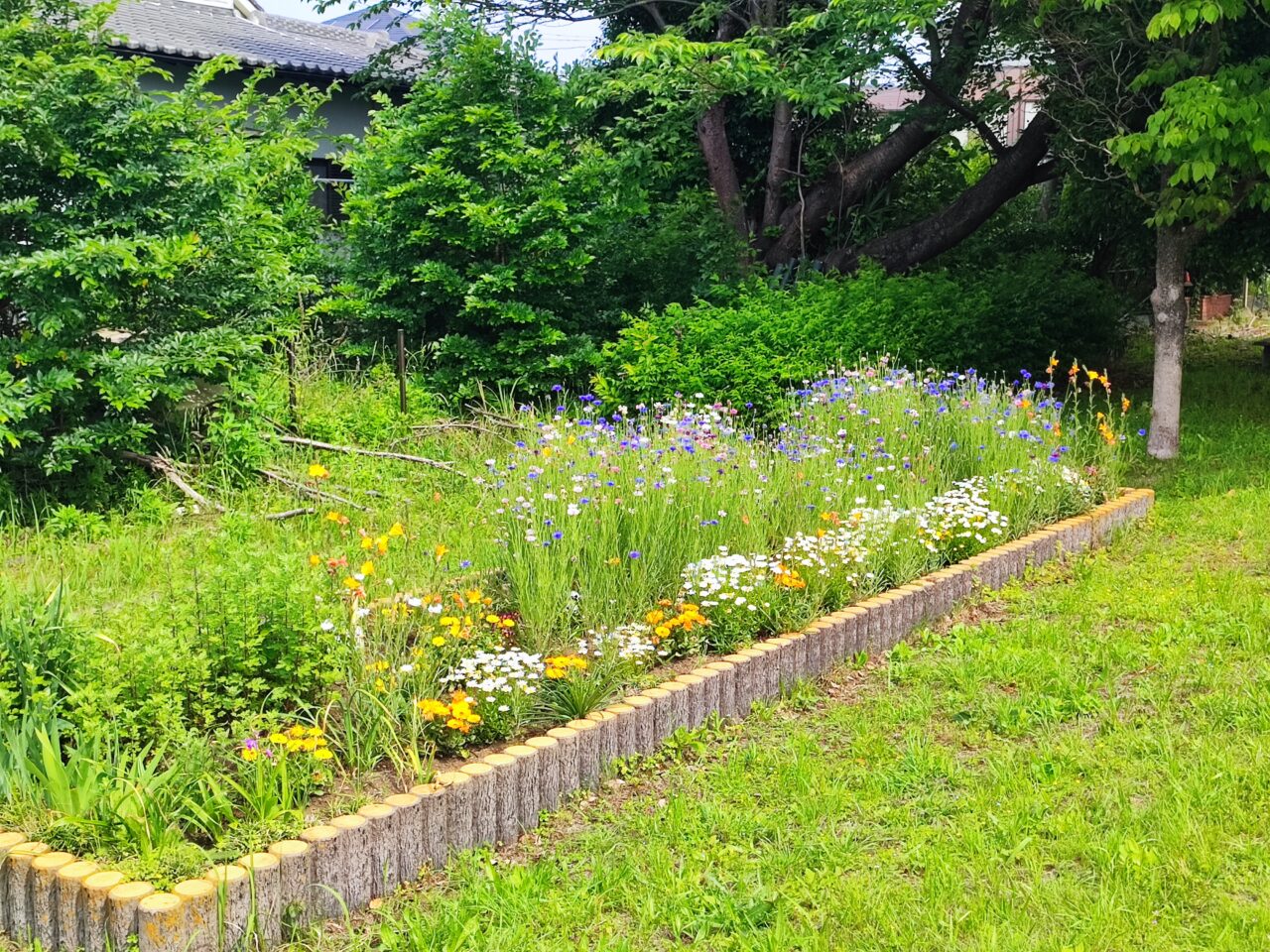 緑のヘルシーロードコース