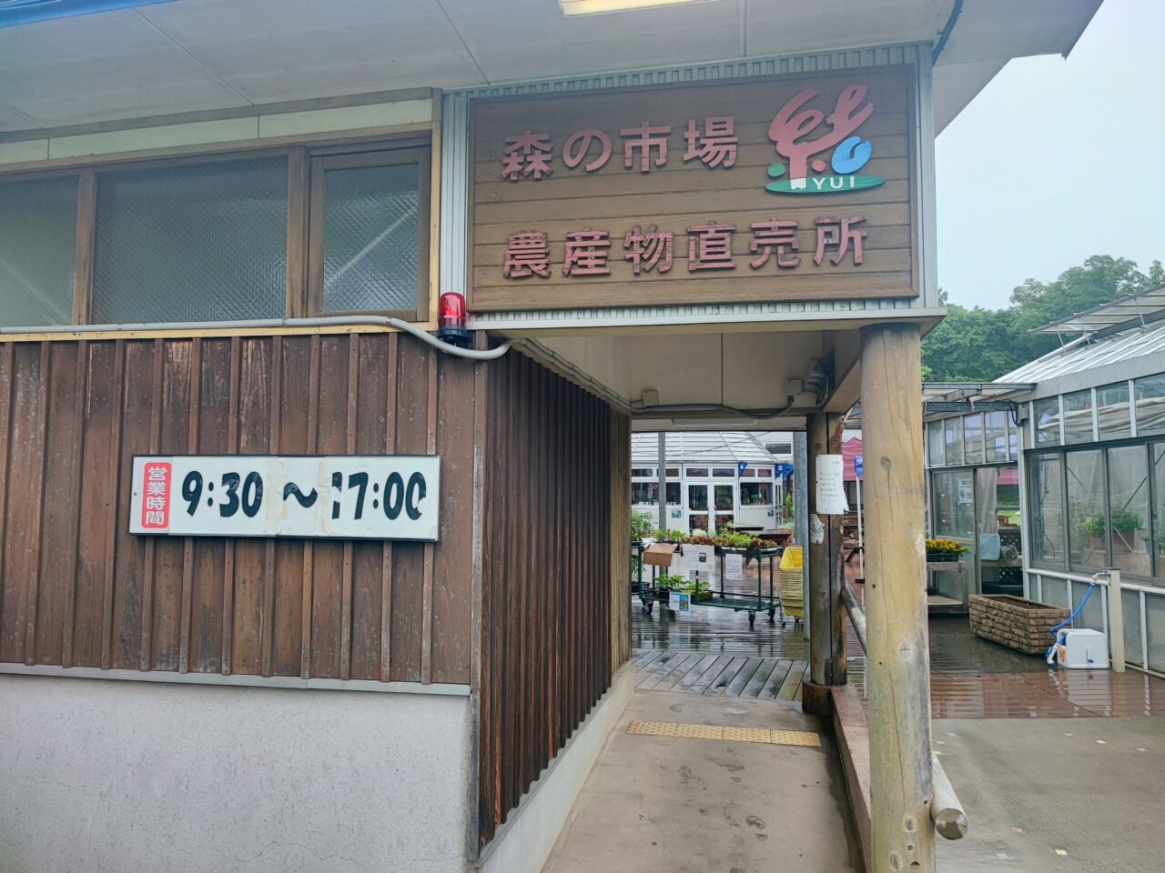 現金つかみどり大会