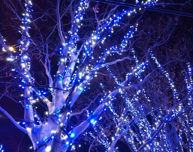 東武動物公園駅周辺クリスマスマーケット