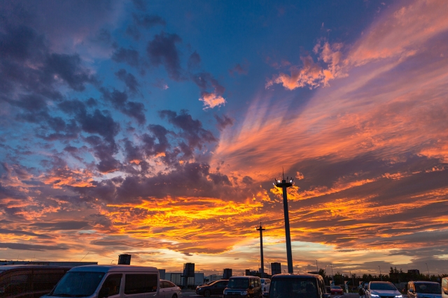 蓮田市内スーパーの営業時間まとめ