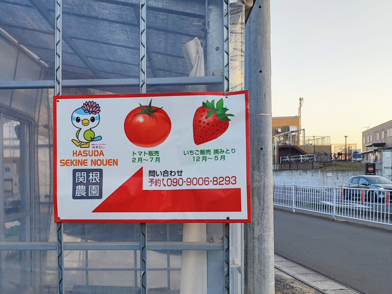 パサール蓮田  加藤農園でイチゴ狩り