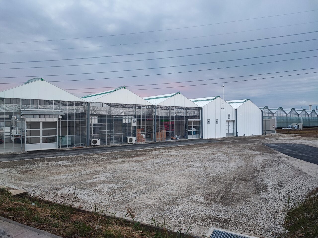 イチゴノオカプロジェクト（第1期工事）のイチゴハウスが完成