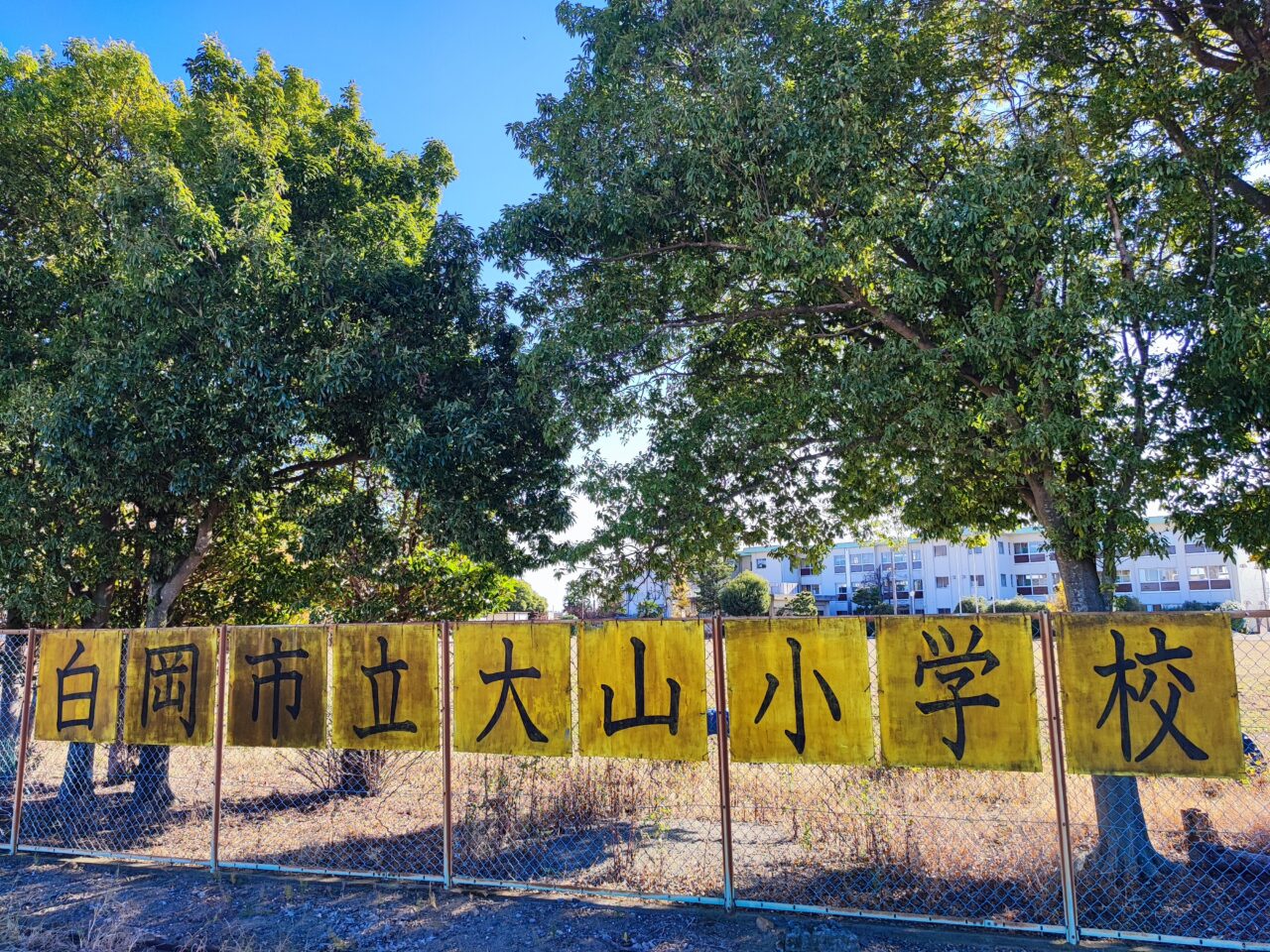 おおやまランタンナイト2025