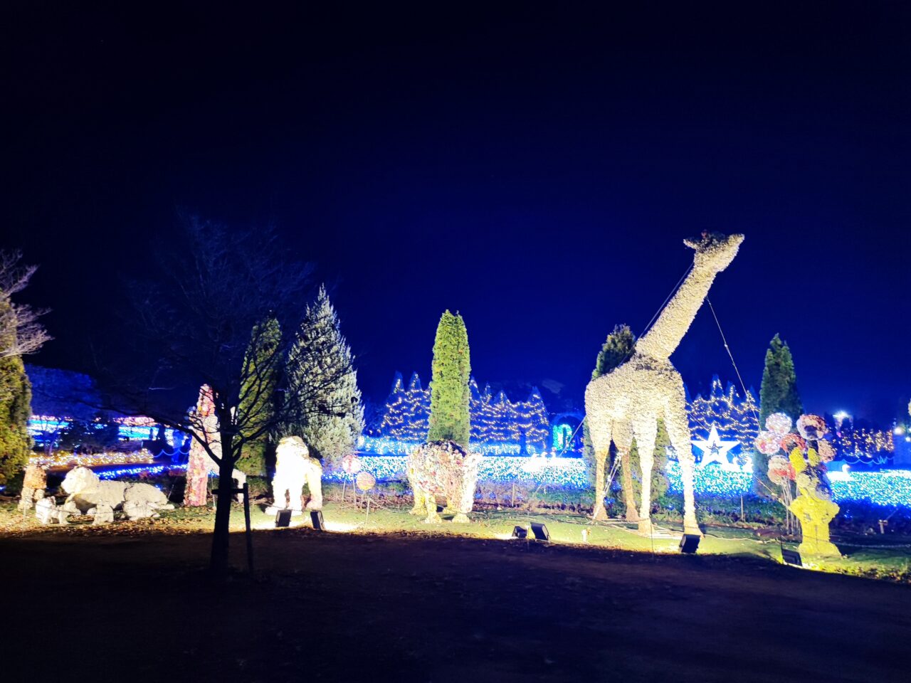 東武動物公園 「ウインターイルミネーション2025-2026」